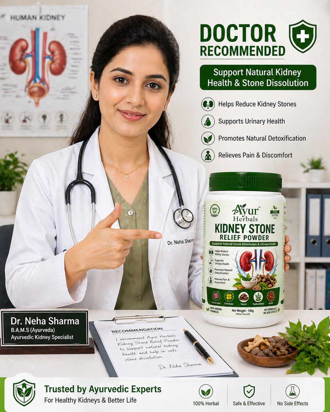 Ayur Herbals-Kidney Stone Relief Powder
